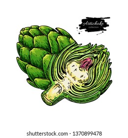 Artichoke hand drawn vector illustration. Isolated Vegetable object. Detailed vegetarian food drawing. Farm market product. Great for menu, label, icon