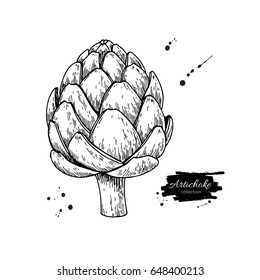 Artichoke hand drawn vector illustration. Isolated Vegetable engraved style object. Detailed vegetarian food drawing. Farm market product. Great for menu, label, icon