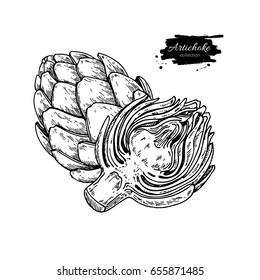 Artichoke hand drawn vector illustration. Isolated Vegetable engraved style object. Detailed vegetarian food drawing. Farm market product. Great for menu, label, icon