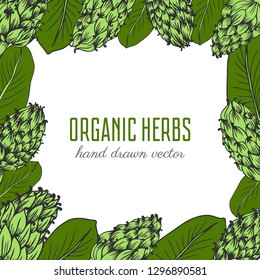 Artichoke hand drawn vector sketch isolated on white background, graphic herbal decorative plant square frame, Organic food ingredient ink illustration, for design healthy market, menu, cosmetic