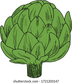 Artichoke. Healthy harvest, organic, tasty. Color flat vector illustration. Cartoon isolated on a white background.