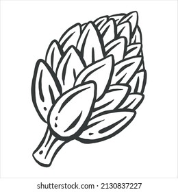Artichoke icon in a flat design on a white background - out line