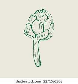 Artichoke illustration. Edible flower bud, healthy vegetable. Hand drawn fresh whole artichoke.Vector 