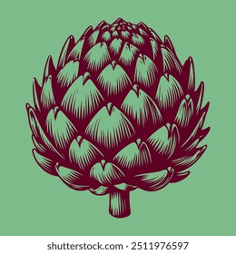 Artichoke illustration. Isolated on color background. Vector illustration in line art style