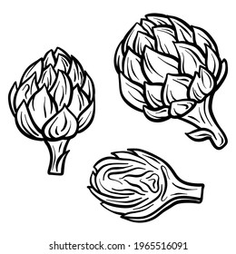 Artichoke isolated on white background. Full Artichoke and slice. Vector hand drawn outline illustration. Ingredient for cooking. Harvest. Farm vegetable.