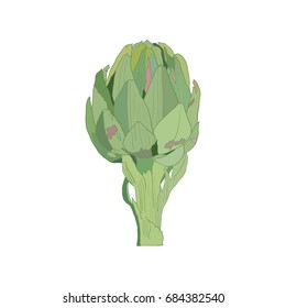 Artichoke isolated on a white. Vegetable Natural Pattern.