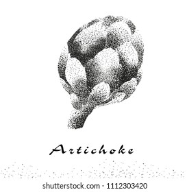 Ilustración vectorial aislada de alcachofa. Dibujo en blanco y negro monocromático de gráficos de boceto botánico