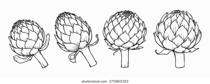 Artichoke Line Art Vector Set for Design. Artichoke Set in Trendy Minimalist Line Art Sketch Style. Abstract Botanical Hand Drawn Doodle Template Collection
