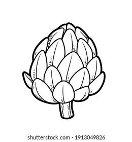 Artichoke linear drawing on white background