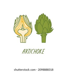 Artichoke sobre un fondo blanco. Ilustración plana vectorial con verduras verdes. Alimentos orgánicos para plantas