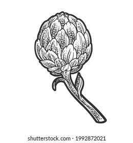 Artichoke plant line art sketch engraving vector illustration. T-shirt apparel print design. Scratch board imitation. Black and white hand drawn image.
