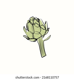 Artichoke plant line drawing, vector Organic vegetables artichokes, healthy food concept, vector illustration
