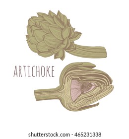 artichoke vector engraving illustration