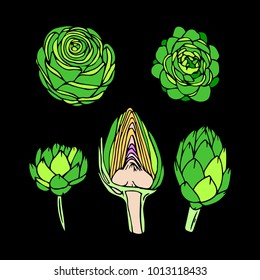 Artichoke vector illustration. Doodle style. Design, print, logo, decor, textile, paper.