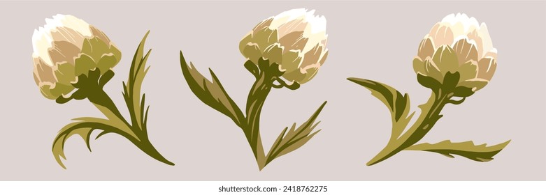 Artichoke. Vector set. Healthy organic food illustration. Artichoke fruit silhouette whole. 