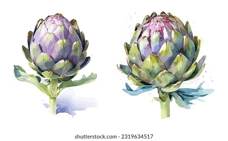 
Artichoke, watercolor painting style illustration. Vector set.