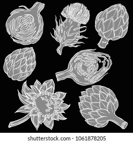 artichoke white line with background, vector