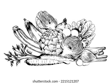 Artichoke, zucchini, eggplants and green vegetables. Black and white hand drawn vector illustration.