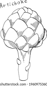 Artichokes drawn in black and white pen. 