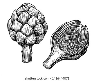 Artichokes. Hand drawn engraving style illustrations. Set of hand drawn artichoke. Fresh organic food.