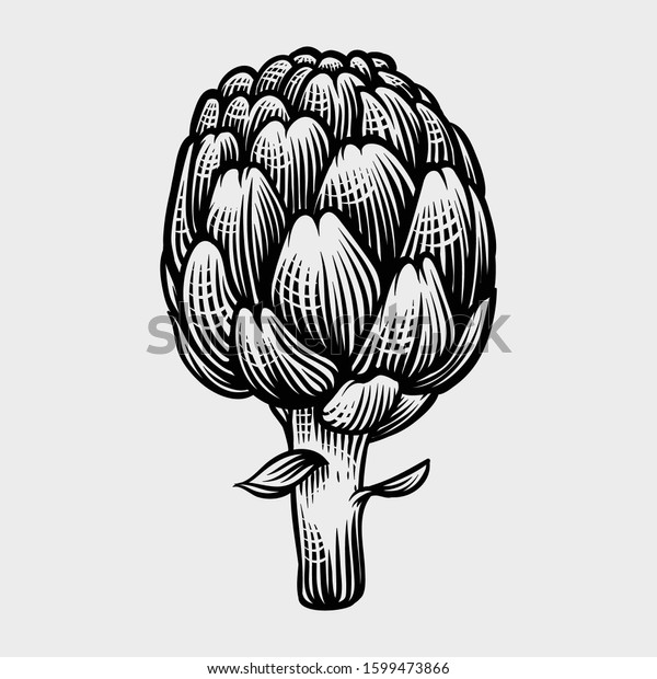 Artichokes Hand Drawn Engraving Style Illustrations Stock Vector ...