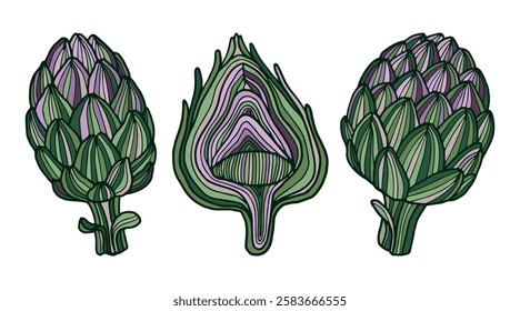 Artichokes hand drawn vector cliparts colorful illustrations use for food-related themes recipe books packaging design scrapbooks invitations marketing materials