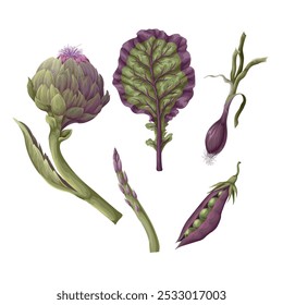 Alcachofas, cebollas y frijoles aislados. Vector