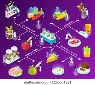 Artificial food isometric flowchart with scientists during experiments with eating ingredients on purple background vector illustration