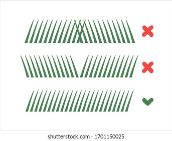 Artificial Grass - Synthetic Grass - Artificial Turf. Vector Illustration