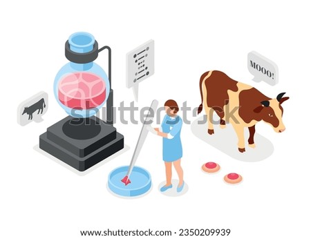 Artificial grown meat isometric composition with cow character and veal meat grown in glassware in chemical laboratory vector illustration