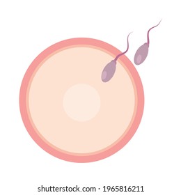 artificial insemination on white background
