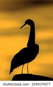 artificial intelligence drawings.bird silhouettes from nature.