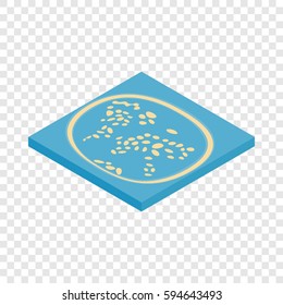 Artificial islands in the UAE isometric icon 3d on a transparent background vector illustration
