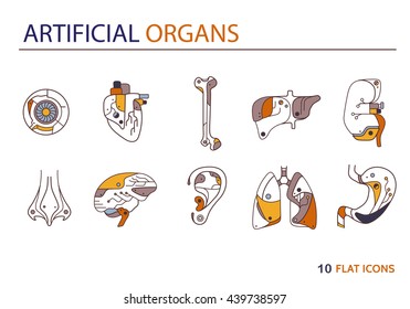 Artificial organs. EPS 10. Isolated objects