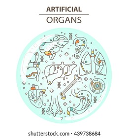 Artificial organs. EPS 10. Isolated objects
