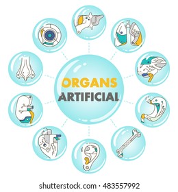 Artificial organs poster. EPS 10 Isolated objects