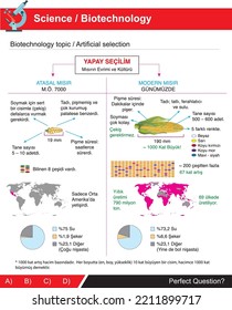 Artificial Selection Corn Example For Biotechnology Subject For Science Lesson (turkish: YAPAY SEÇİLİM, Mısırın Evrimi Ve Kültürü)