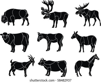 artiodactyls animal vector set