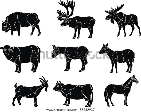 Artiodactyls Animal Vector Set Stock Vector (Royalty Free) 58482937