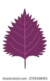 Hoja de Shiso rojo artesanal estilo dibujado a mano