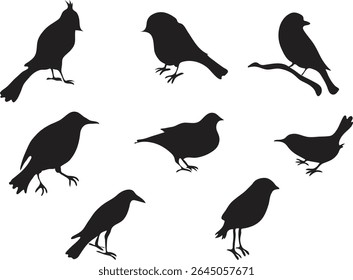 Artistic arrangement of diverse bird silhouettes on a simple background, highlighting various species.