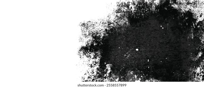 Artistic Black Ink Blot Splatter on Clean White Background in Monochrome with Intricate Design Features

