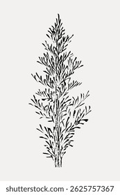 Künstlerische schwarze Tinte Zeichnung eines Baumes mit komplizierten Zweigen. Die Äste des Baumes schaffen ein zartes, künstlerisches Muster. Schwarze Tintenbaumzeichnung auf weißem Hintergrund. Illustrationsvektor für Vintage-Kunst.
