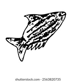 Artistic black and white illustration of a shark in underwater marine life theme. Vector illustration. Black fish on a isolated background. Ocean sealife for clip art, label, packages, wallpaper