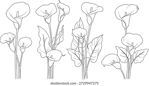 An artistic black and white line drawing of four poppy flowers with buds and leaves on stems