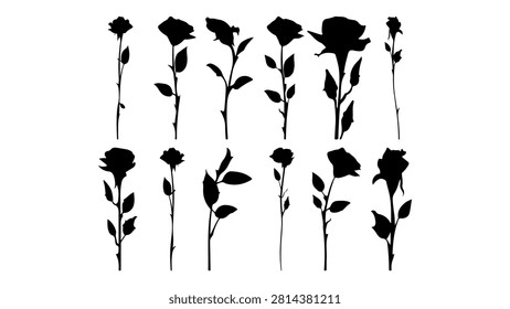 Artistic black and white silhouette of different rose flowers arranged in a pattern, emphasizing floral shapes and natural elegance.
