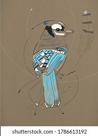 Artistic blue jay sketch with plume