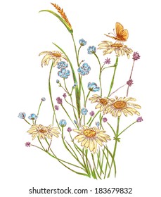 artistic bouquet of field flowers:chamomile,wheat,clover