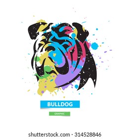 Artistic bulldog on the colorful blots background. Stylized graphic illustration. Vector wild animal.