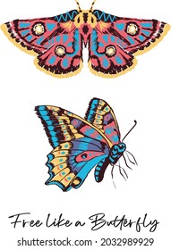 Artistic Butterflies, folk art butterflies, Butterfly, Colorful Butterflies, Free like a butterfly, Butterflies